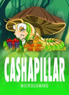 cashapillar.webp